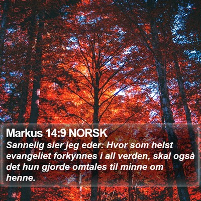 Markus 14:9 NORSK Bible Verse Image