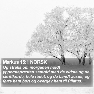 Markus 15:1 NORSK Bible Verse Image