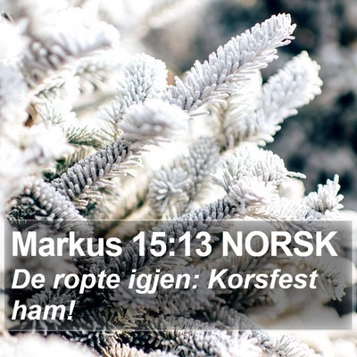 Markus 15:13 NORSK Bible Verse Image