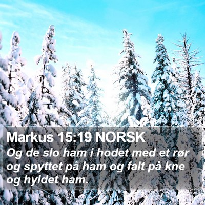 Markus 15:19 NORSK Bible Verse Image