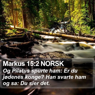 Markus 15:2 NORSK Bible Verse Image