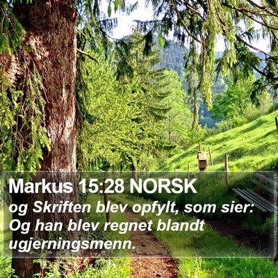 Markus 15:28 NORSK Bible Verse Image