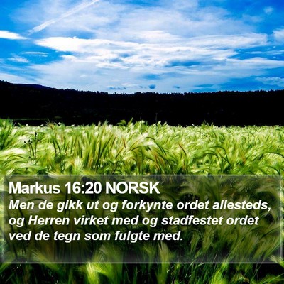 Markus 16:20 NORSK Bible Verse Image