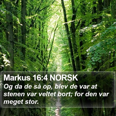 Markus 16:4 NORSK Bible Verse Image