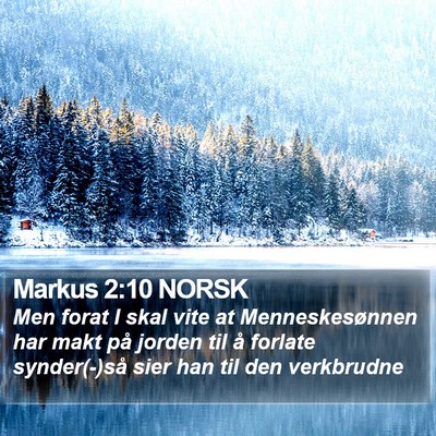 Markus 2:10 NORSK Bible Verse Image