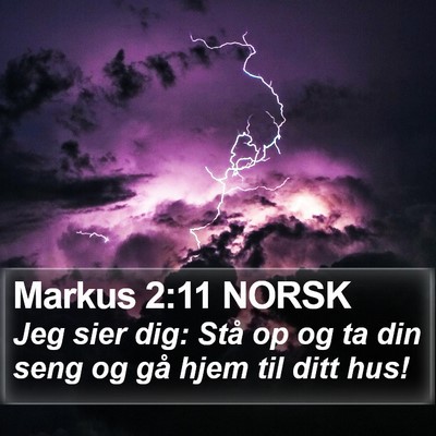 Markus 2:11 NORSK Bible Verse Image