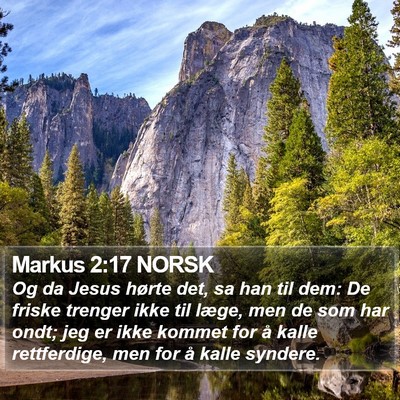 Markus 2:17 NORSK Bible Verse Image