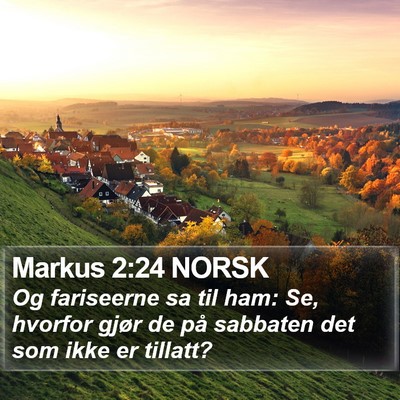 Markus 2:24 NORSK Bible Verse Image