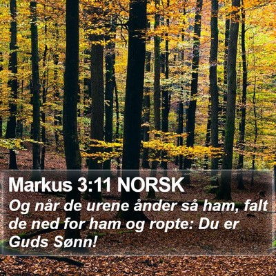 Markus 3:11 NORSK Bible Verse Image
