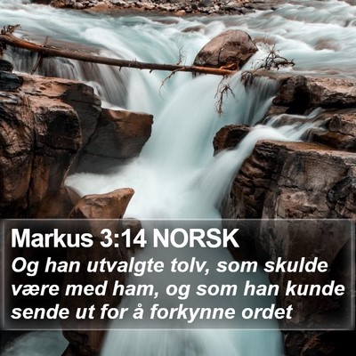 Markus 3:14 NORSK Bible Verse Image