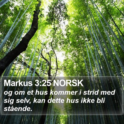 Markus 3:25 NORSK Bible Verse Image