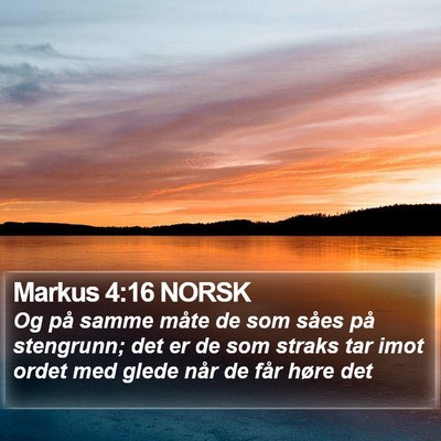Markus 4:16 NORSK Bible Verse Image