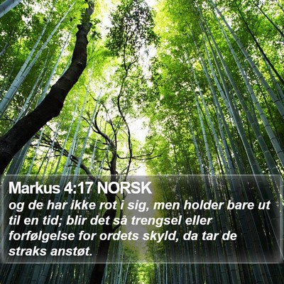 Markus 4:17 NORSK Bible Verse Image