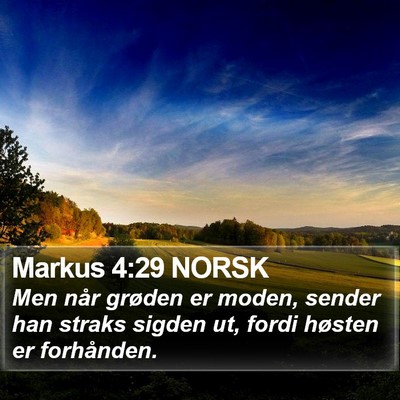 Markus 4:29 NORSK Bible Verse Image