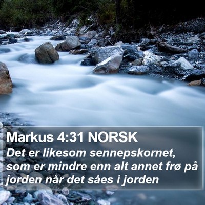 Markus 4:31 NORSK Bible Verse Image