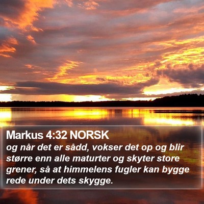 Markus 4:32 NORSK Bible Verse Image