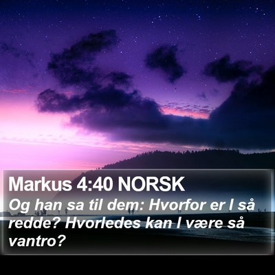 Markus 4:40 NORSK Bible Verse Image