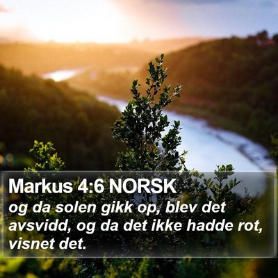 Markus 4:6 NORSK Bible Verse Image