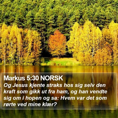 Markus 5:30 NORSK Bible Verse Image