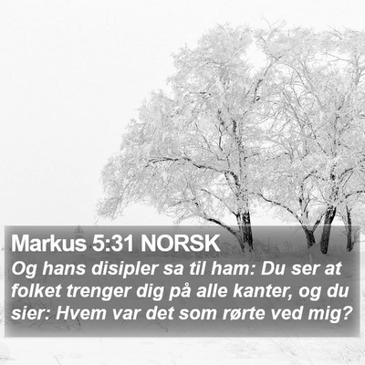 Markus 5:31 NORSK Bible Verse Image