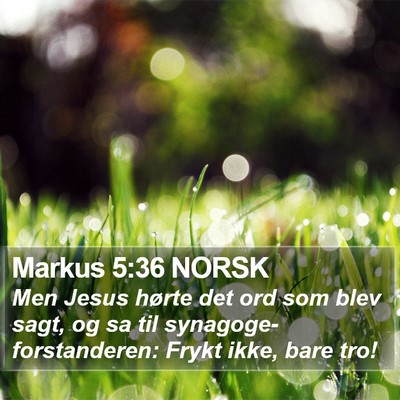 Markus 5:36 NORSK Bible Verse Image