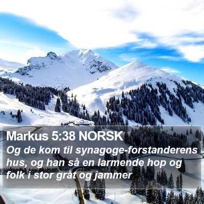 Markus 5:38 NORSK Bible Verse Image