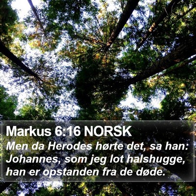 Markus 6:16 NORSK Bible Verse Image