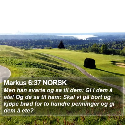 Markus 6:37 NORSK Bible Verse Image