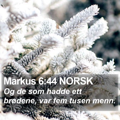 Markus 6:44 NORSK Bible Verse Image