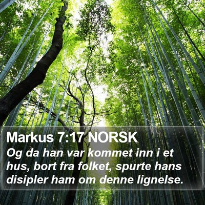 Markus 7:17 NORSK Bible Verse Image