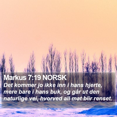 Markus 7:19 NORSK Bible Verse Image