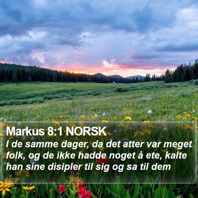 Markus 8:1 NORSK Bible Verse Image