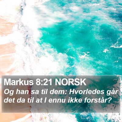 Markus 8:21 NORSK Bible Verse Image