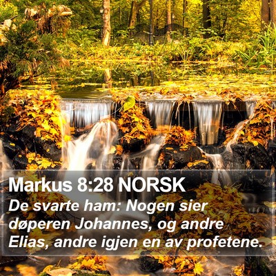 Markus 8:28 NORSK Bible Verse Image