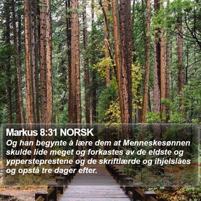 Markus 8:31 NORSK Bible Verse Image