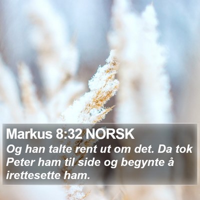 Markus 8:32 NORSK Bible Verse Image