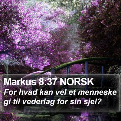 Markus 8:37 NORSK Bible Verse Image