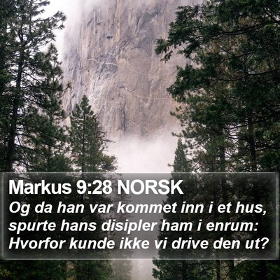 Markus 9:28 NORSK Bible Verse Image