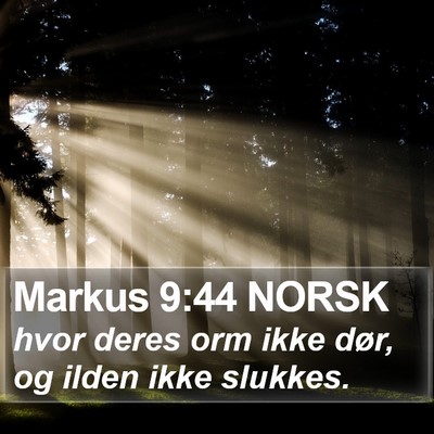 Markus 9:44 NORSK Bible Verse Image