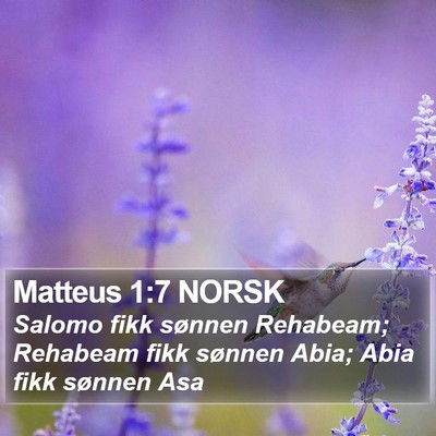 Matteus 1:7 NORSK Bible Verse Image