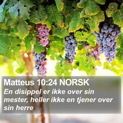 Matteus 10:24 NORSK Bible Verse Image