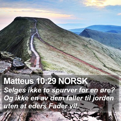 Matteus 10:29 NORSK Bible Verse Image