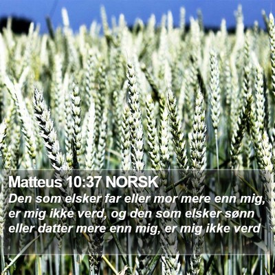 Matteus 10:37 NORSK Bible Verse Image