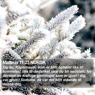Matteus 11:23 NORSK Bible Verse Image