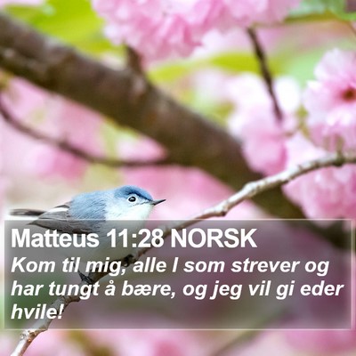 Matteus 11:28 NORSK Bible Verse Image
