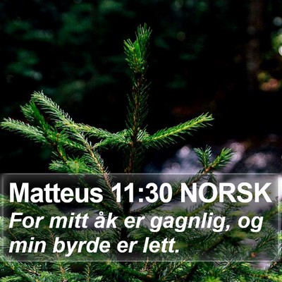 Matteus 11:30 NORSK Bible Verse Image