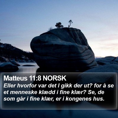 Matteus 11:8 NORSK Bible Verse Image