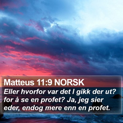 Matteus 11:9 NORSK Bible Verse Image