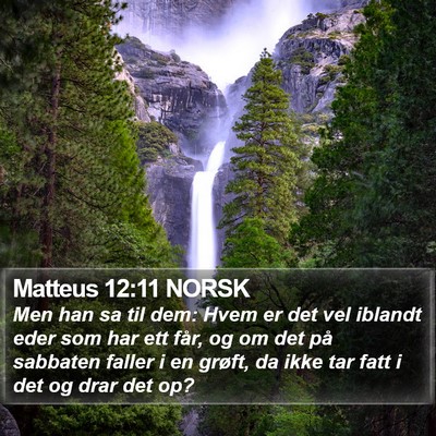 Matteus 12:11 NORSK Bible Verse Image