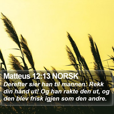 Matteus 12:13 NORSK Bible Verse Image